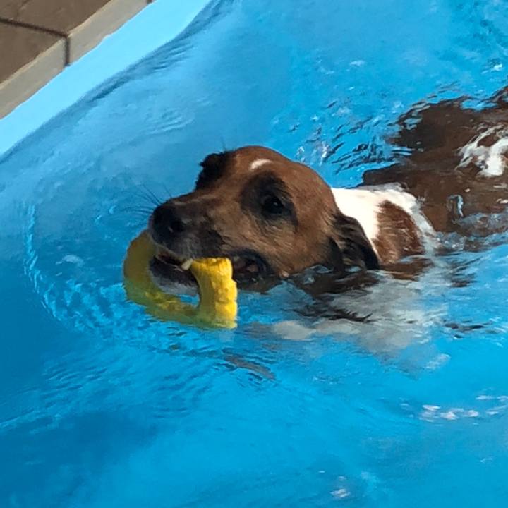 534ecef3 583d 436d 89ce 3fcabcd35d32 1535927803363