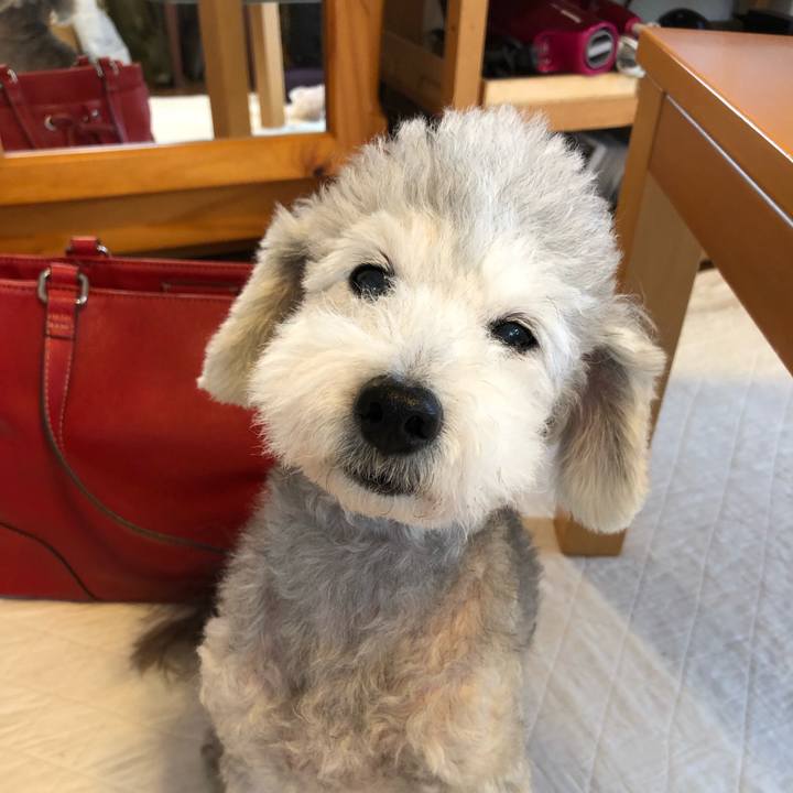 534ed378 f5a0 4f0d b8ba 4c663714699b 1566341292564