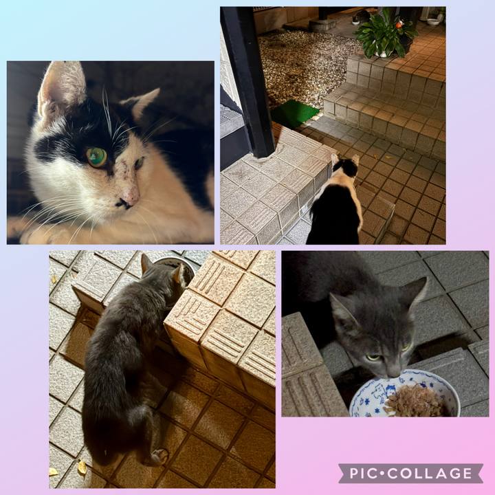 534ee1a3 031a 4cd8 90a9 da7f17f63dab 1760523429202