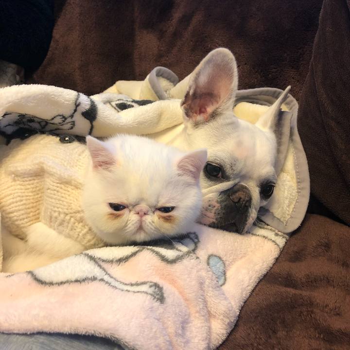 534f17d4 b62d 4100 b04a 2208e68bb170 1547889540863