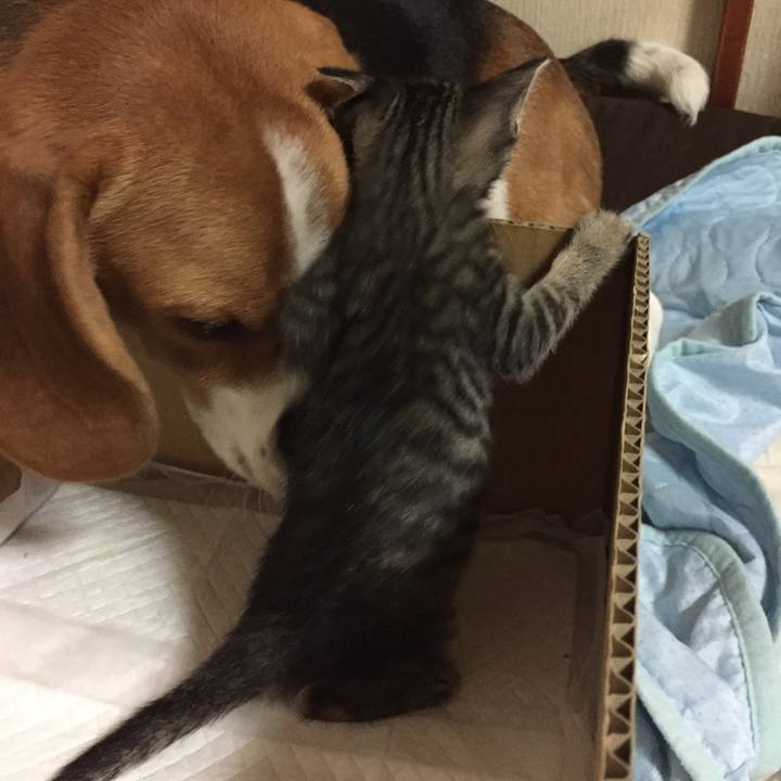 534f21d8 ef8a 450d bcb1 97ac51406091 1534035336446