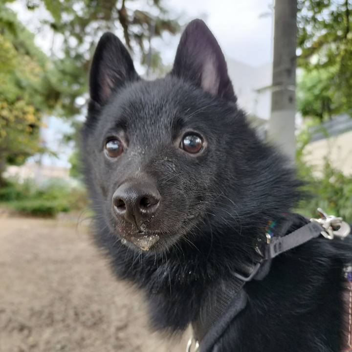 534f2230 c03a 430c bdc8 f3925b9a8549 1758665618242