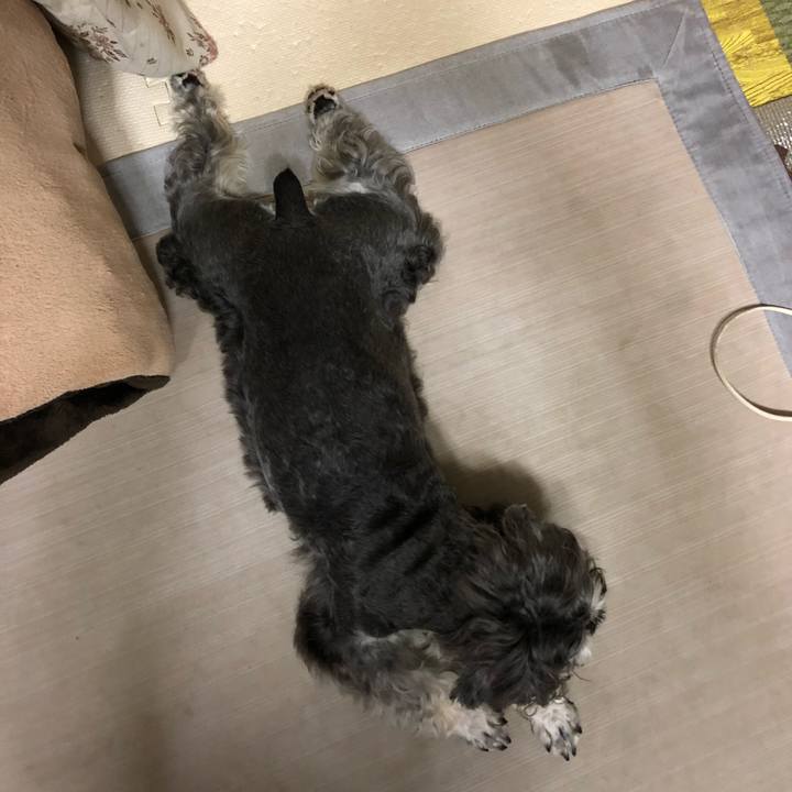 534f369a be01 45d0 831a f6193c1695d4 1625920621303