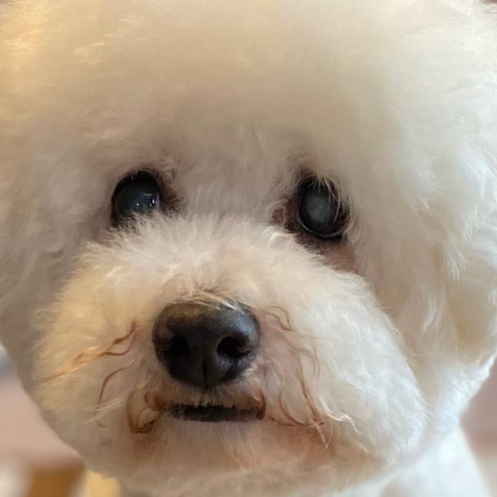 534f5272 e946 4671 932f 6982205724a1 1716785845818