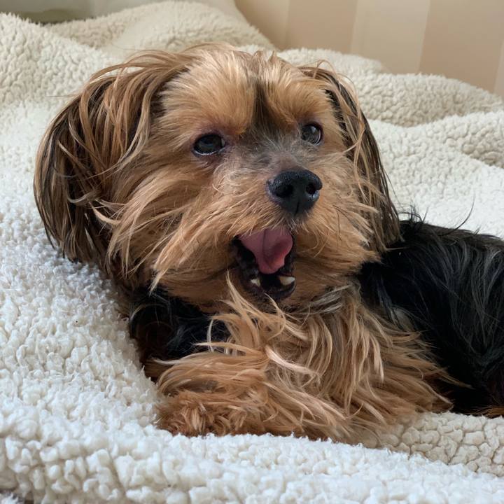 534f5ef0 5b3d 4e17 b7e0 39779cf95263 1560917629543