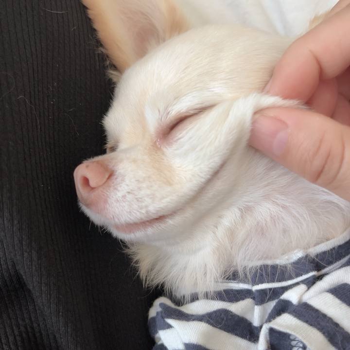 534f6435 827b 4602 ab6c 7c1109a941f5 1727601025791