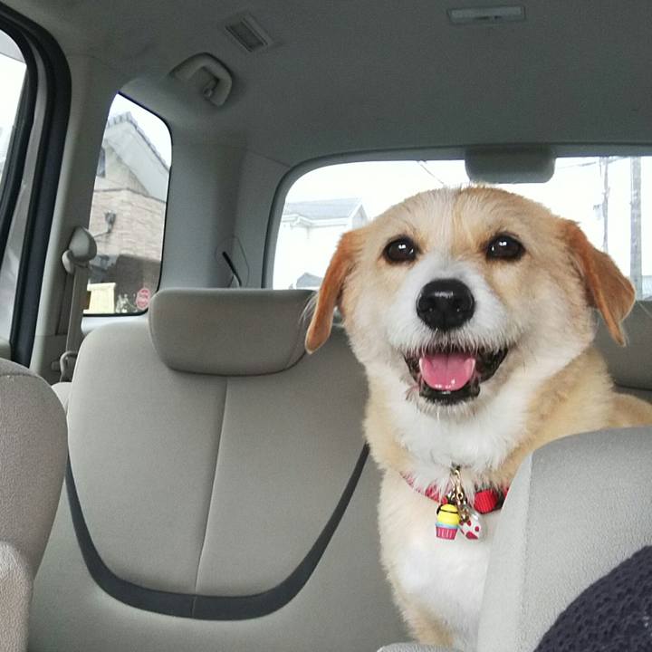 534f9702 245c 42cb b8f6 9c8a60716296 1523157994665