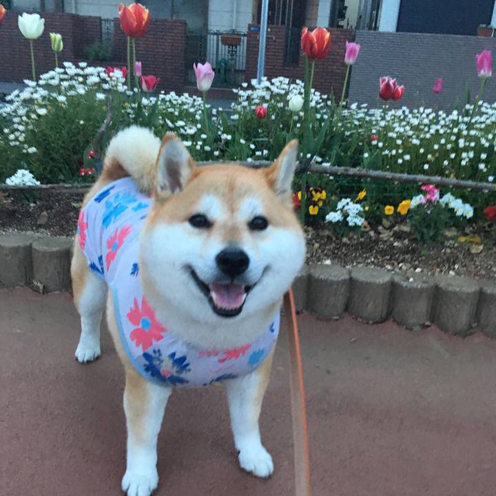 534fae66 cb74 4a22 a017 1b326f4e90d4 1555843500742