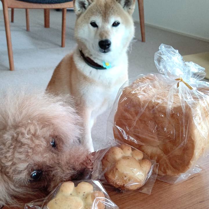 534fcad3 1602 4d02 863e 6df13b137caf 1622351554874