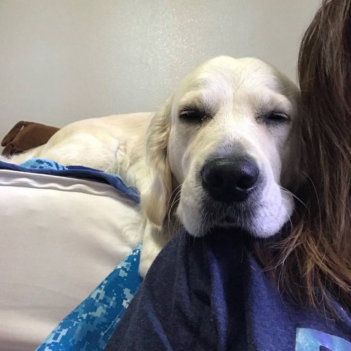 53500076 2e03 4cc4 9d1e 4135a922271a 1549089865832