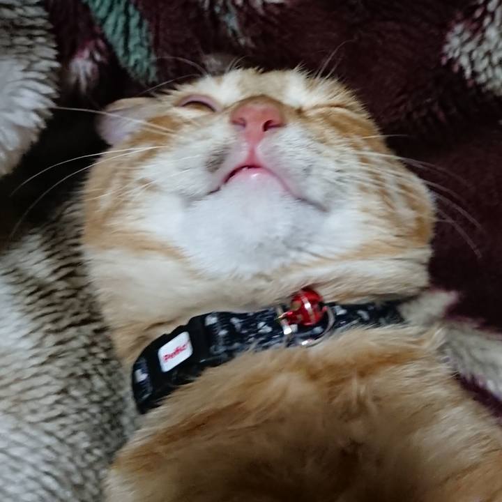 535003b9 f7d7 4f93 9416 9107b6f6ddc4 1635857214831