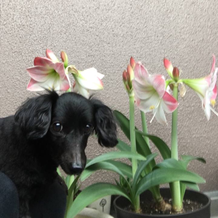 53501c5f 37fe 46d3 b52b 956f1955f203 1526165969292