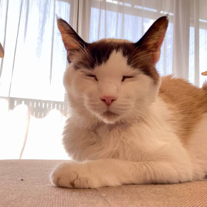 535027b7 014c 410f bca5 3b6ef0ca6b8a 1677923874228