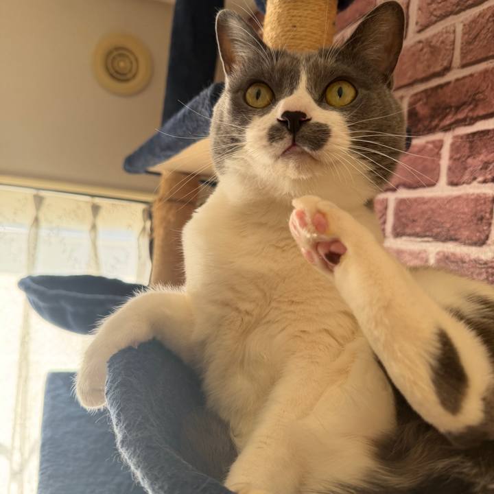 53502854 0f0c 469a 9cbe 724683896272 1765079646402