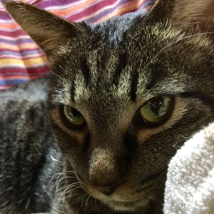 53503a17 dadc 4ae5 bba5 2c5d9e898ed1 1521691570509