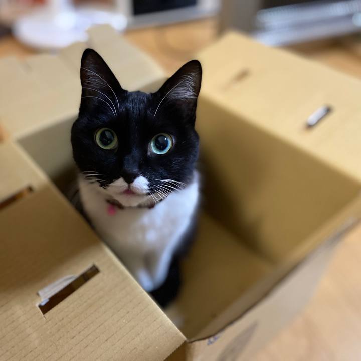 53507265 929d 4494 ade3 753cba3f11b9 1609076873017