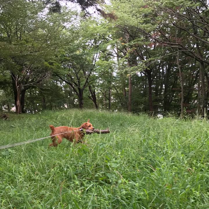 53508d58 f03b 48da 9351 acc8407c3a55 1567086985416