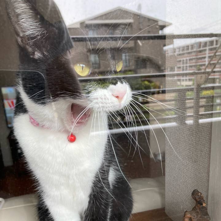 53509240 f27b 4674 affd 171cf0c3a2ea 1653308398109