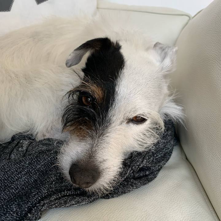 535094da 2ed4 4034 a197 7f9842165a8a 1681187302292