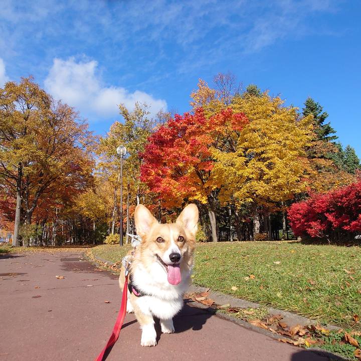 5350cb6d 2128 49f2 afe4 0b1a956eef77 1762136119764