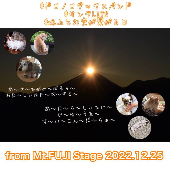 5350ccf2 b490 400b b4a5 b95df88cd99f 1671926549031