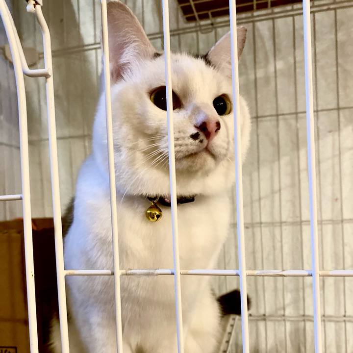 5350ea61 cc03 4295 a2cd 7e41cc5b4050 1708768840068