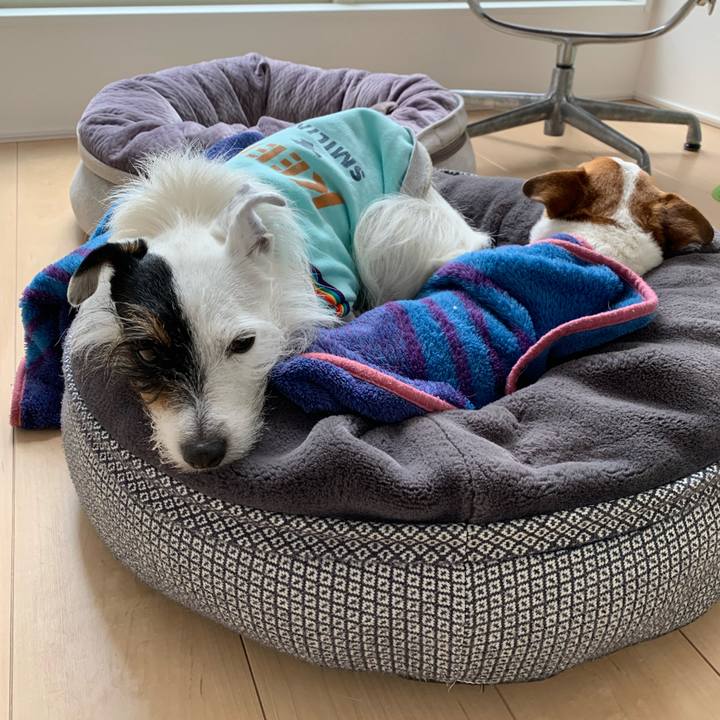 53512fd8 0fed 410f b876 006a44bef805 1642569423986