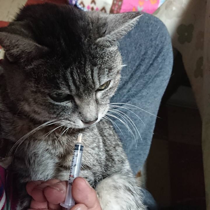 53514cd9 a938 4566 850a 8ccdf3618ab8 1580597609703