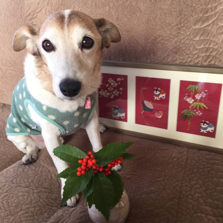 53515cba 6bcf 47c2 b91c f27df78c14f2 1514852794600