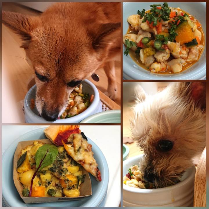 535177da ca7f 4b6e a8da def1c8d24477 1609391910722