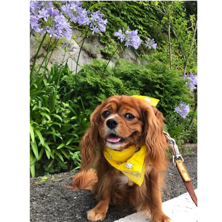 5351832f 7be0 4da8 bc9c 323d4bb1bc01 1624508902912