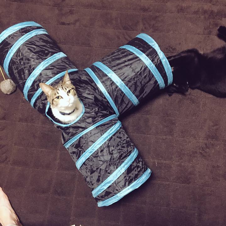 5351b860 8405 4d4d 8548 d6335a966f93 1518092654260