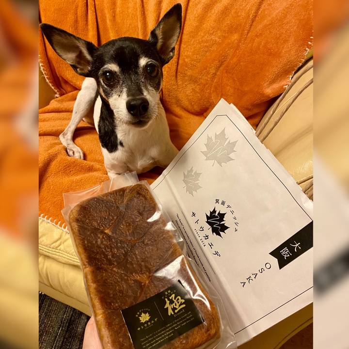 5351bd52 ca60 4c3f 9091 b43f8b98a53b 1608720654352