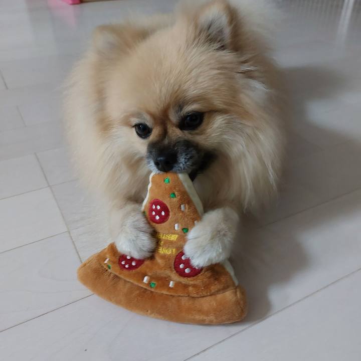 5351e4d6 e5ac 4668 a952 5247325a825c 1665374349520