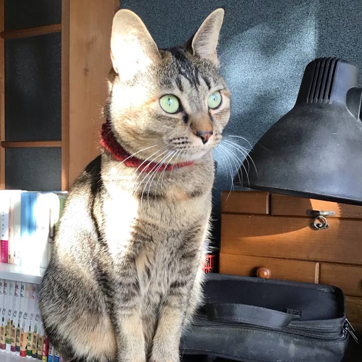 53520f86 b8d9 4a5c bf79 bc69126e4d1d 1639019834045