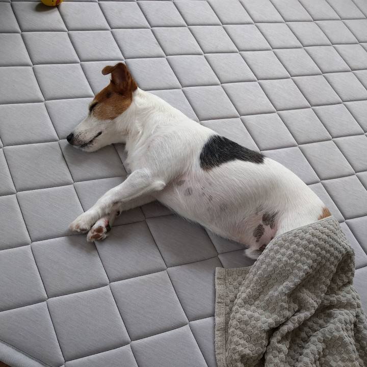 53521ca8 eeb2 46f2 ae46 6a9257be9498 1755917976383