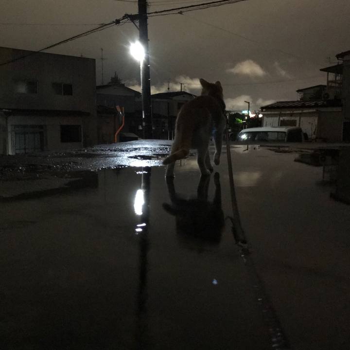 53523e75 6885 4dfb ab0e 41ecbccd94a1 1508580632422