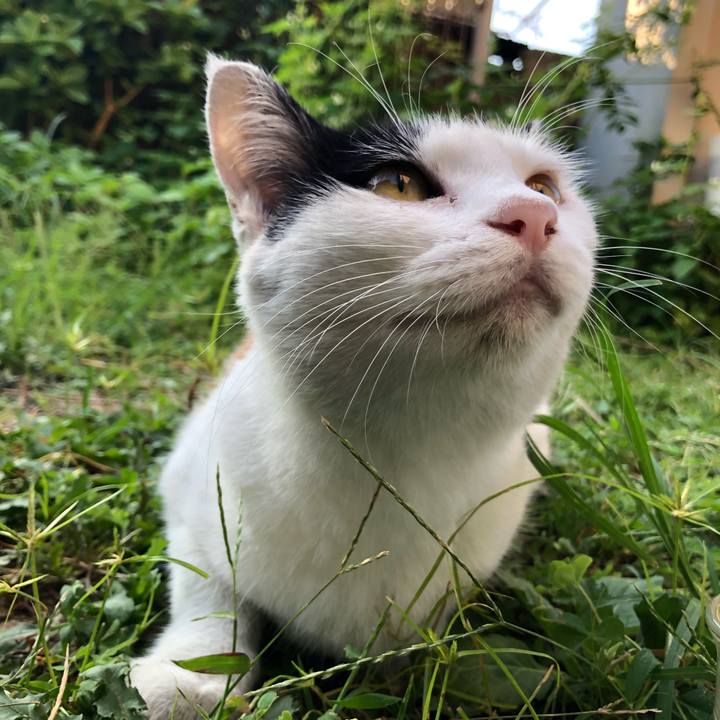 53529702 f895 4d86 ad6c c1d56b4bbfa7 1598652679352