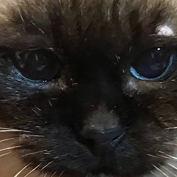 5352a43c 72ed 461d 81ea 23e7f5b134e4 1551507178331