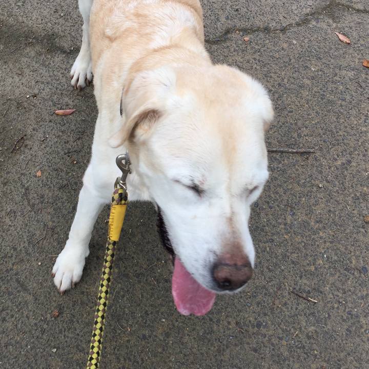 5352c81f 75ff 414a 8a66 f11b6bf02738 1534213342427