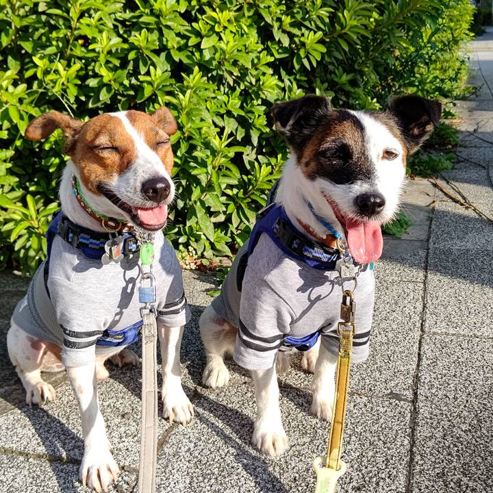 5352edd4 239b 4b4f 9c5a 5c6438ded067 1626818396587