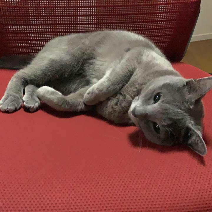 5352ff52 7ab3 4450 8f89 7318edb83b90 1669156834627