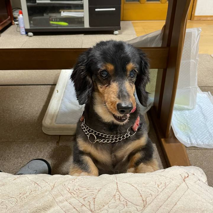 53532d73 4618 4660 a50d c9e82f59c223 1616971935708