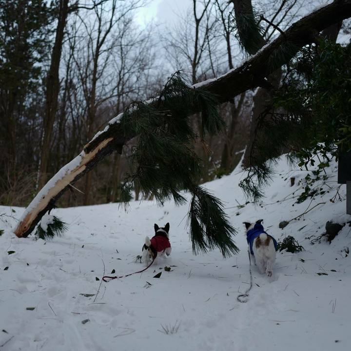 535337cd 2aaa 493e 8818 cad07a11deb5 1516943215668