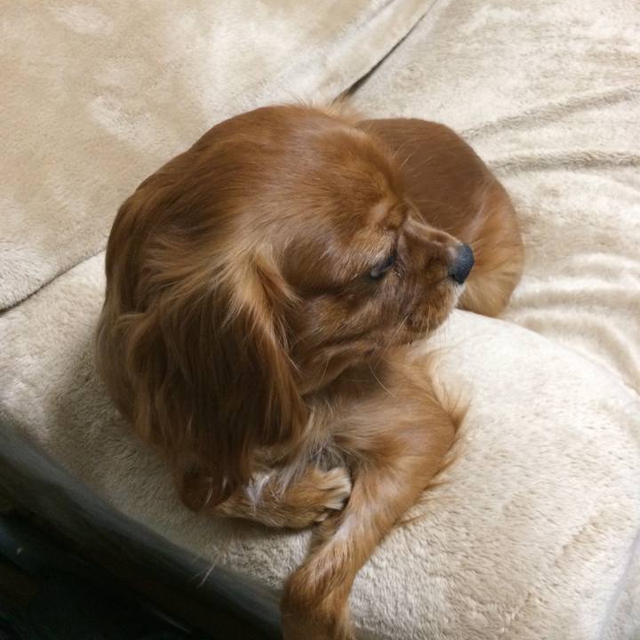 535350a5 2da7 4265 8379 177e3f4af3d1 1512510797543