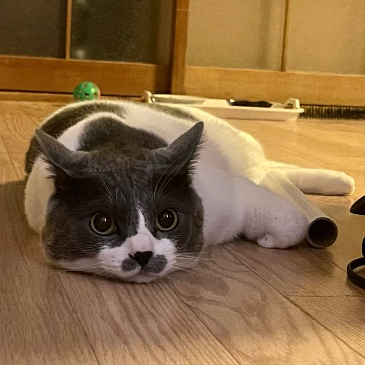 5353862d 56e7 4d28 a468 117211c8172d 1656259814185