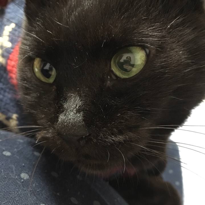 535386ca 3095 456d 9dbc 7436d75209d3 1559438008650