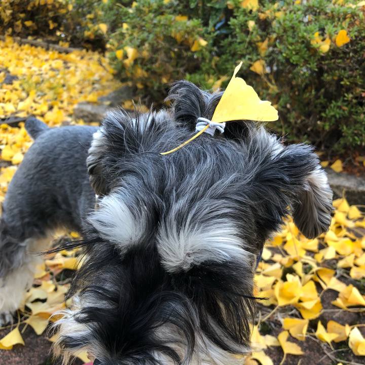 5353eb38 9be3 4489 b99b 019dfd540689 1604816251968