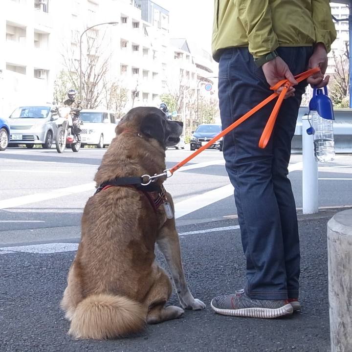 5353fafe 6009 4da2 84a3 a262e0a673bd 1601515253665