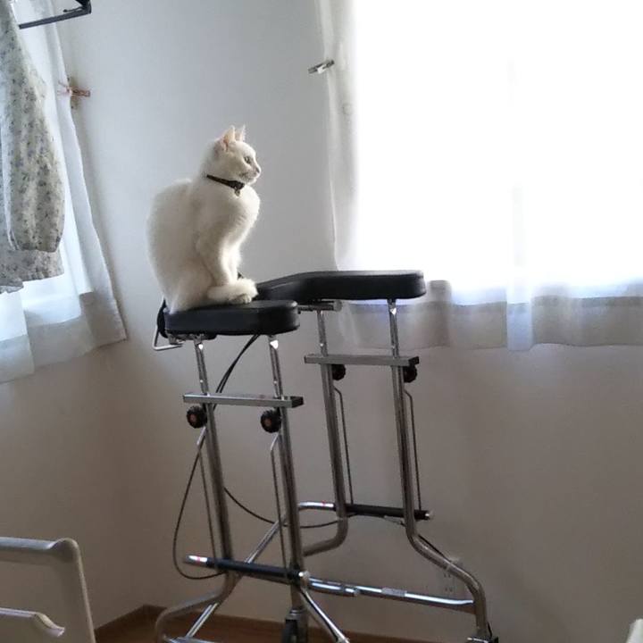 5354255e 1c90 4248 a39f 752c649a40f7 1644969736459